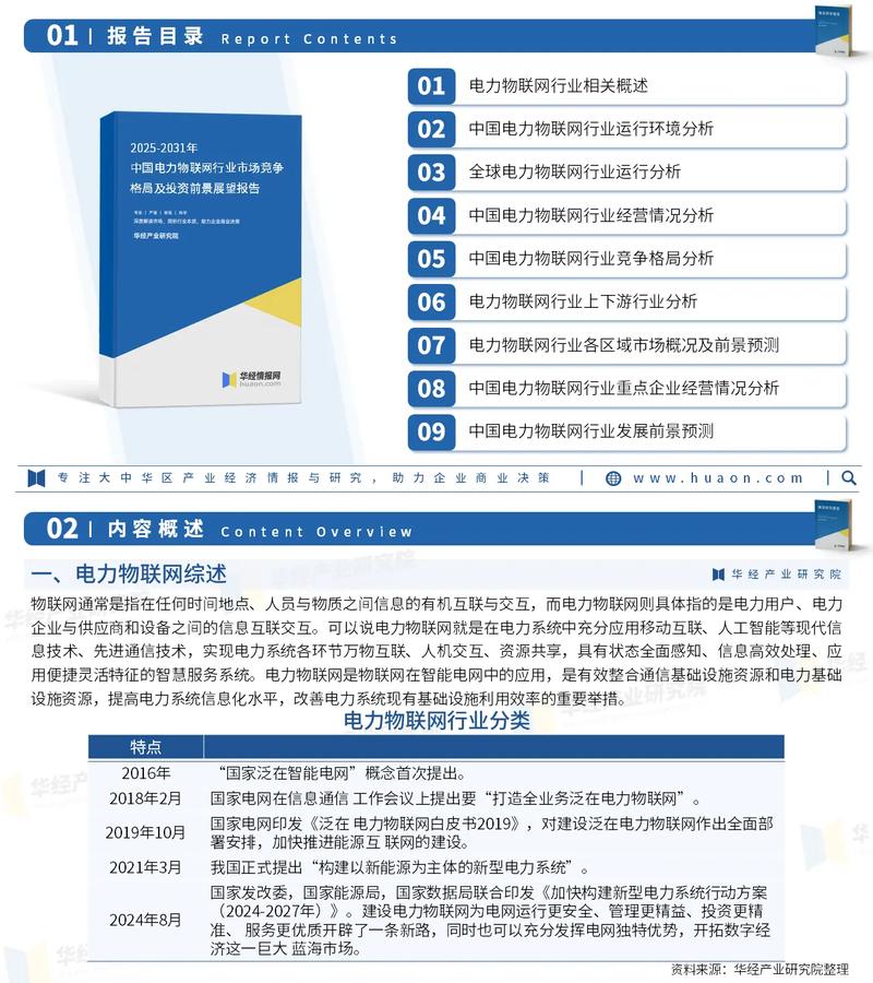 2025年中國電力物聯網行業市場調查報告